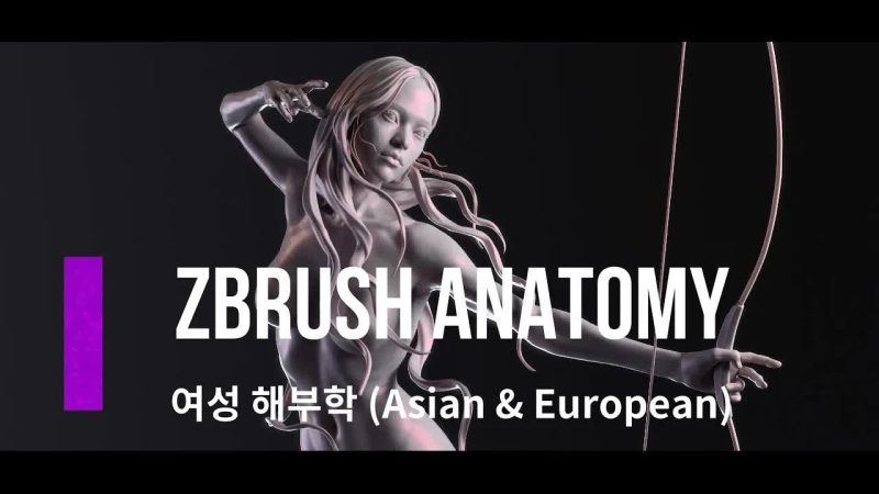 CGbump教程：Zbrush高级解剖学(女性)-Heycg.cn