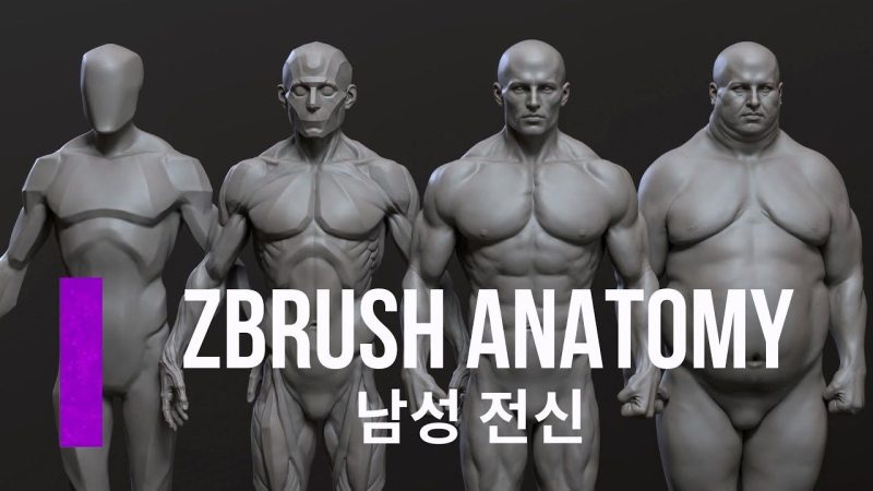 CGbump教程：Zbrush高级解剖学(男性)-Heycg.cn