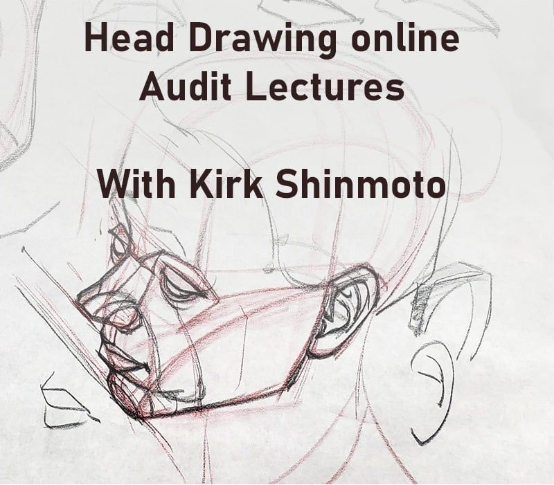 头部绘画技巧 | Gumroad【中文字幕】-Heycg.cn