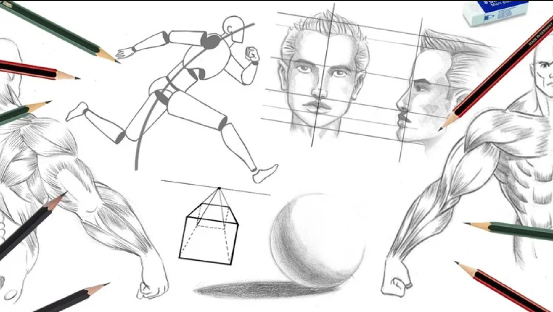 图片[1]-Udemy – 从零开始学画画-Heycg.cn