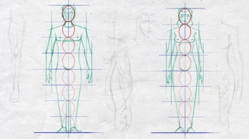 Udemy - 人体素描：男女人体解剖-Heycg.cn