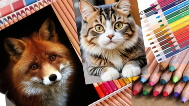 Udemy - 适合初学者的柔粉彩动物绘画指南-Heycg.cn