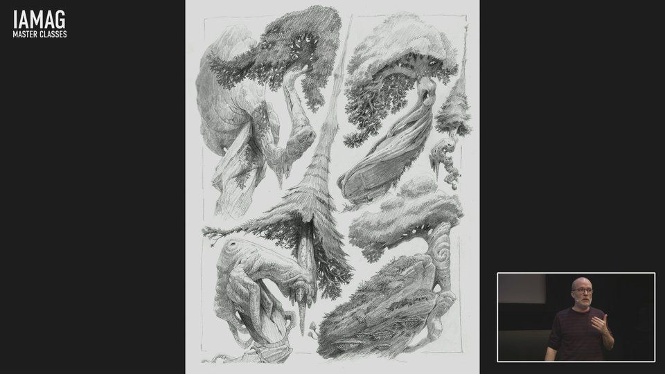 图片[1]-IAMAG – 植物概念学：《林中之旅》-Heycg.cn