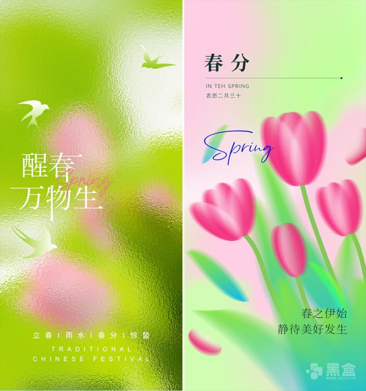 11款弥散风春分海报psd设计素材资源-Heycg.cn