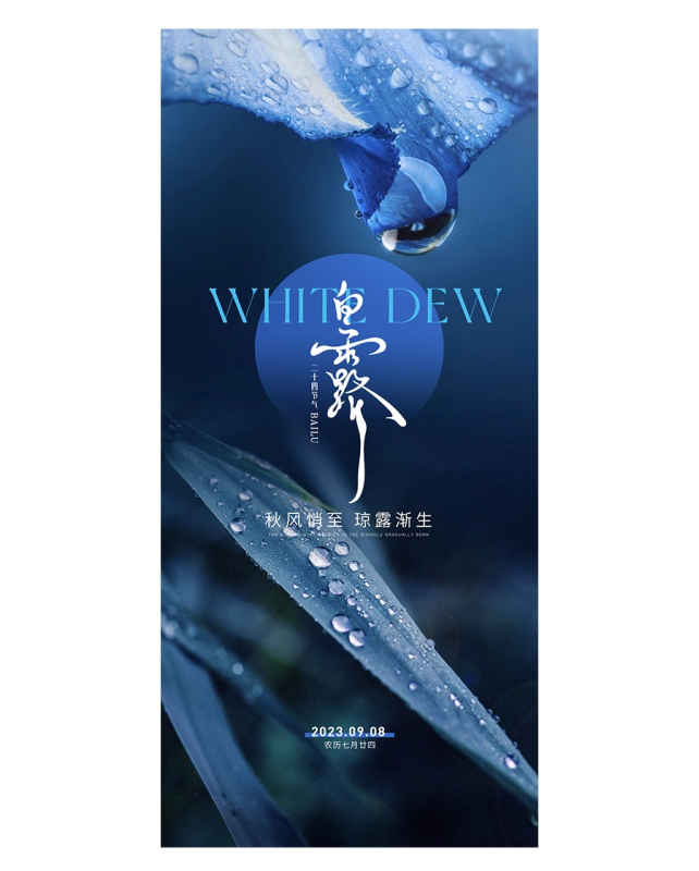 白露节气意境版海报素材 18款精品PSD资源-Heycg.cn