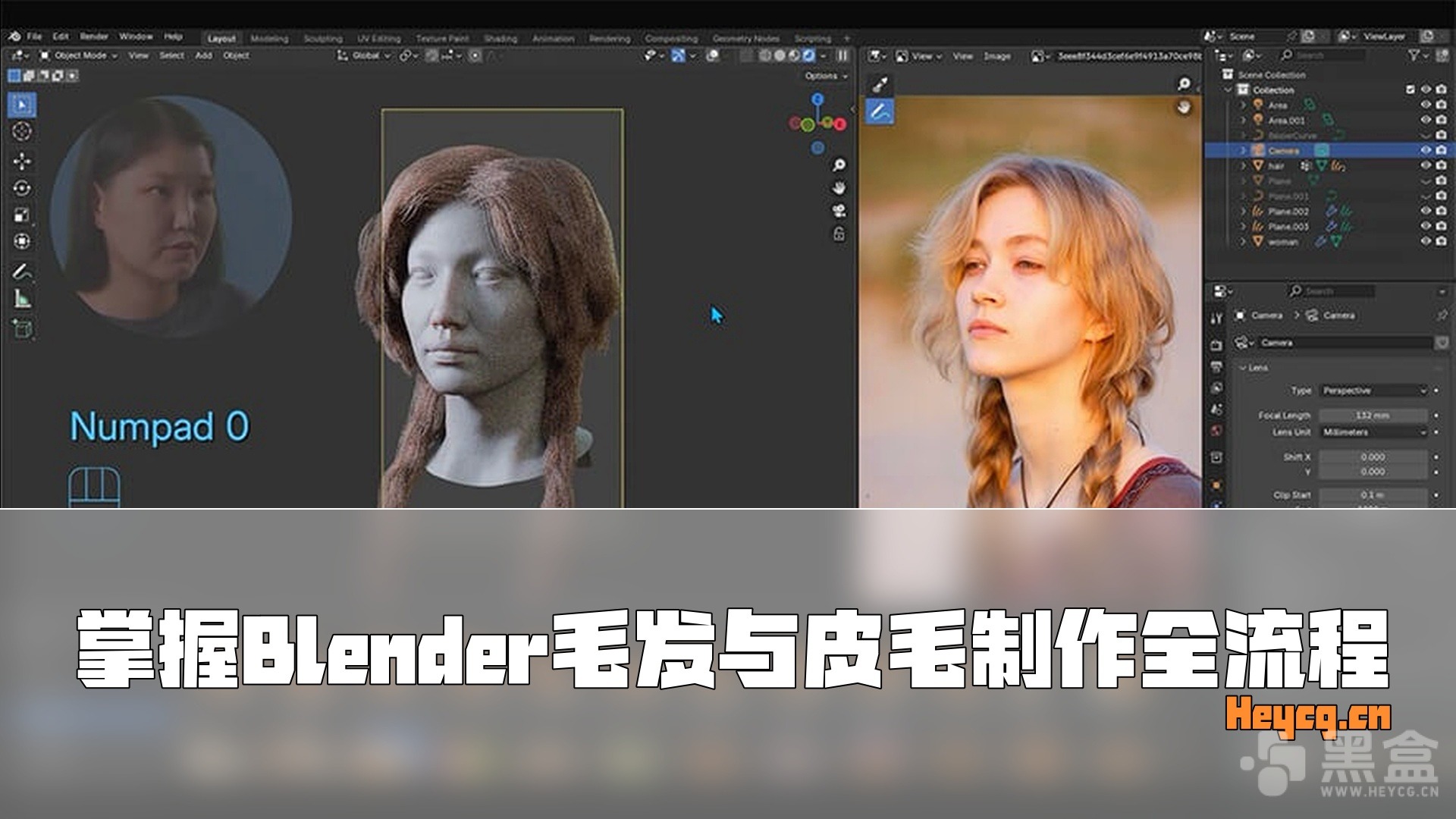 图片[1]-Udemy – Blender Hair & Fur Complete Workflow-Heycg.cn
