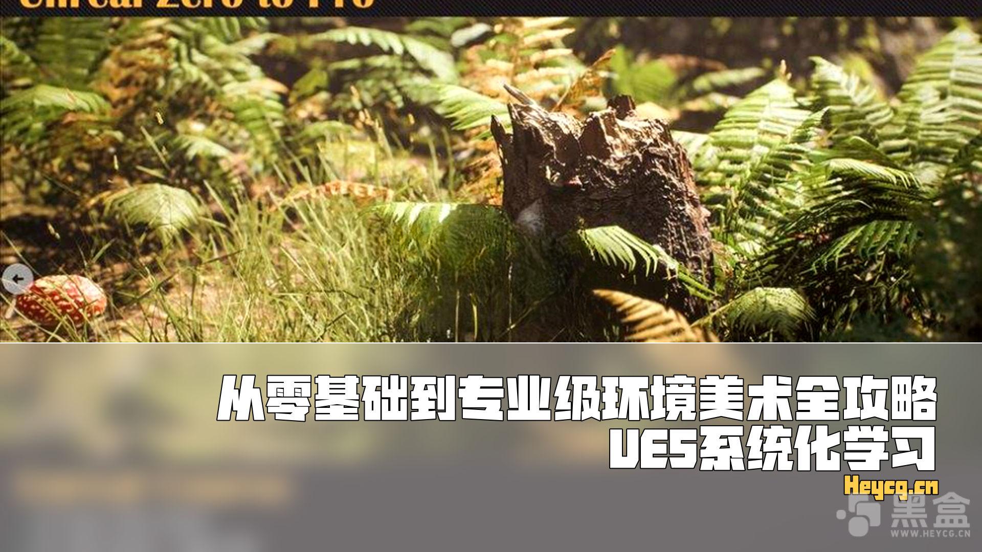 图片[1]-UE5专业环境美术大师课：从底层逻辑到行业标准工作流-Heycg.cn